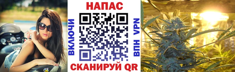 хочу   Осинники  Шишки марихуана гибрид 